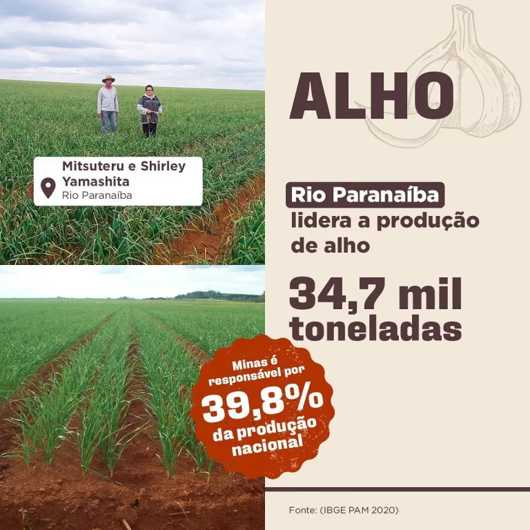 Paranaíba Agora
