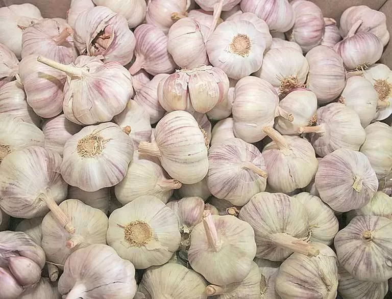 Paranaíba Agora