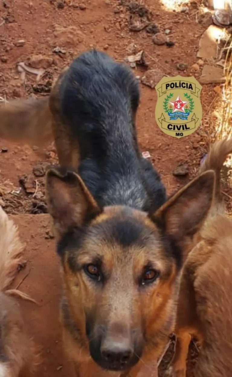 Paranaíba Agora