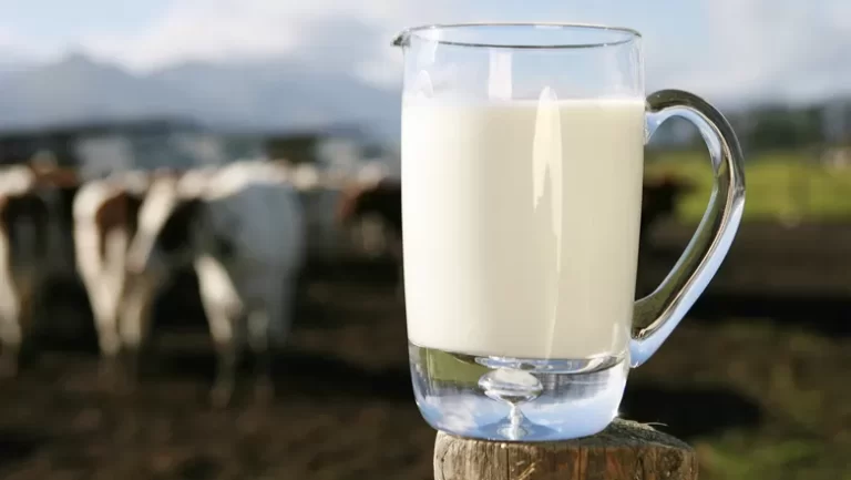 Paranaíba Agora