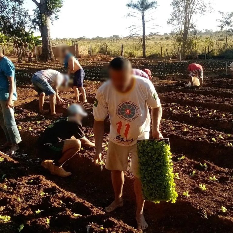 Paranaíba Agora