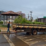 Paranaíba Agora