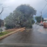 Paranaíba Agora