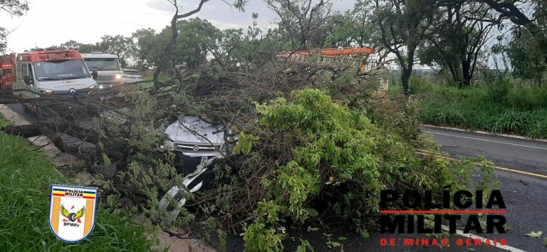Paranaíba Agora