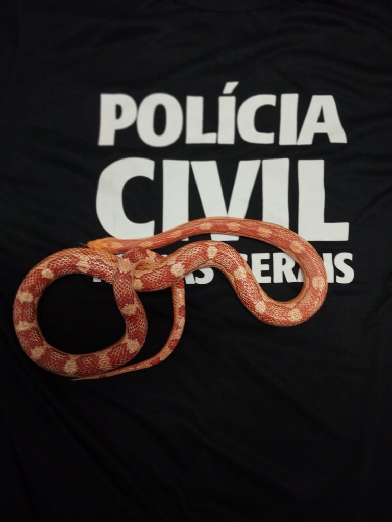 Paranaíba Agora
