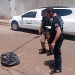 Paranaíba Agora