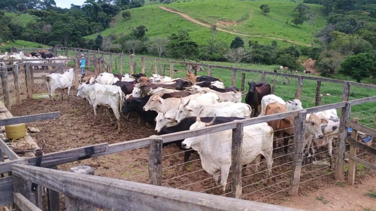 Paranaíba Agora