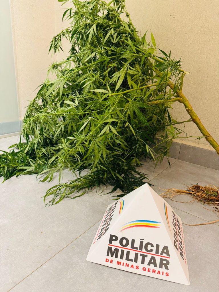 Paranaíba Agora