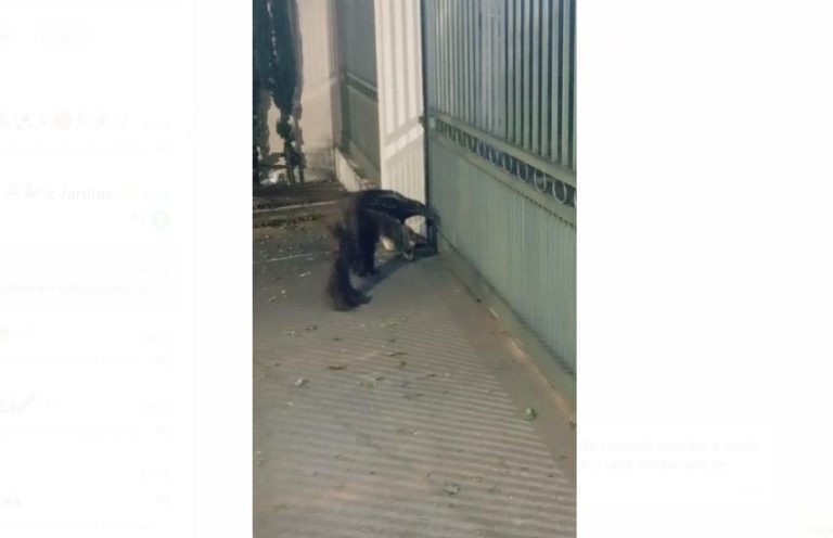 Paranaíba Agora
