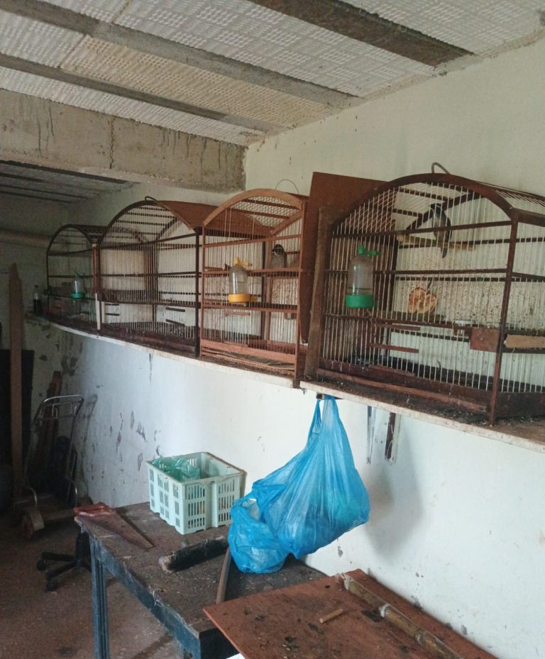 Paranaíba Agora