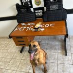 Paranaíba Agora